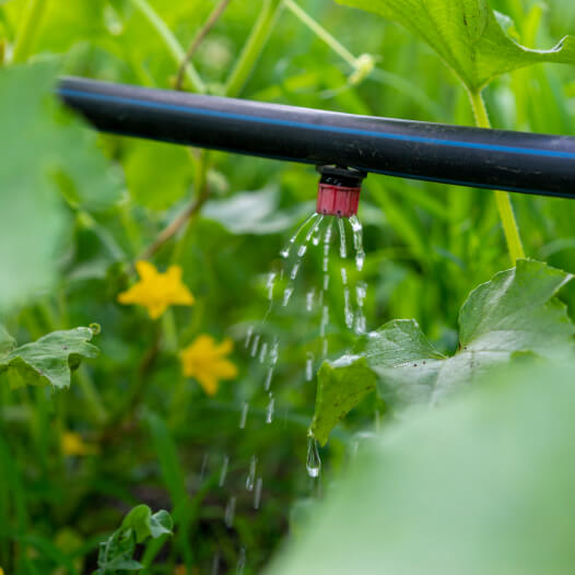 Inline Drip Lateral System