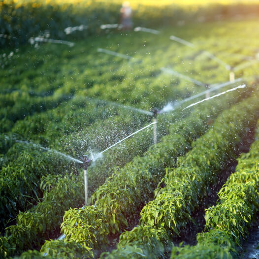 Sprinkler Irrigation System