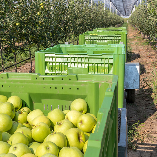 Roto Moulded Containers